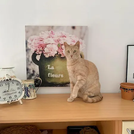 Lägenhet Sunny Attic