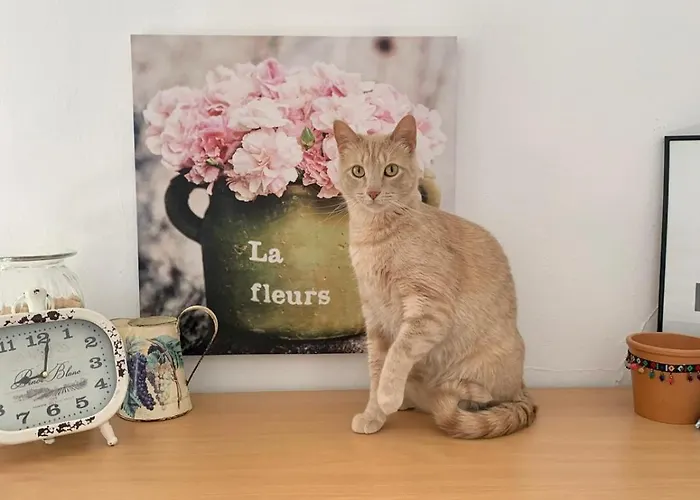 아파트 Sunny Attic