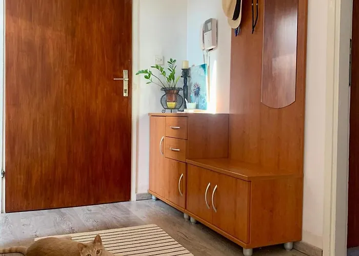 Sunny Attic 아파트 포레치